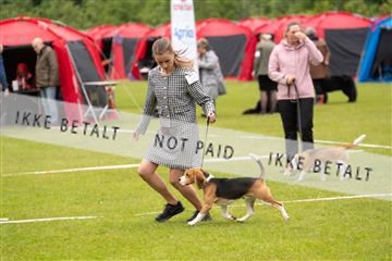 177324_jørgen lawaetz_1_DSCF4078.jpg