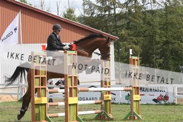5925_ma_05_IMG_0961.JPG