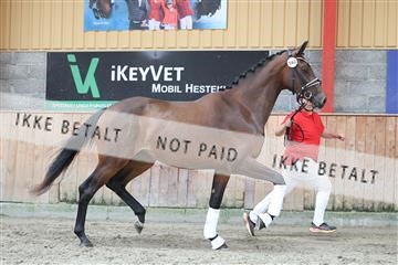 181868_mtp_01_R62_5132.JPG