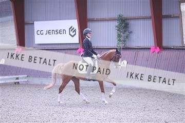 173883_mtp_01_3M5A0569.JPG
