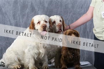 129608_le_ 01_0709.JPG