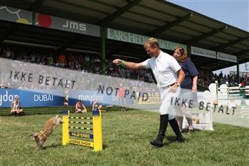125257_abo_14_IMG_2097.JPG