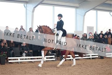 179022_kbb_01_R6II2968.JPG