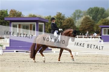 181923_mtp_03_R62_7302.JPG