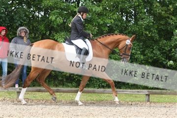 135518_ms_01_IMG_1392.JPG
