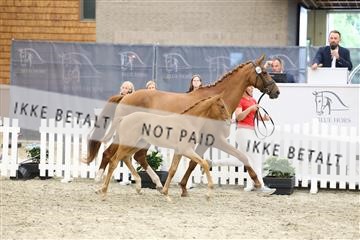 174806_jss_04_R6II4081.JPG
