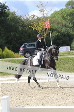 148862_sg_01_IMG_3441.JPG