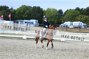 181894_mtp_05_R62_5306.JPG