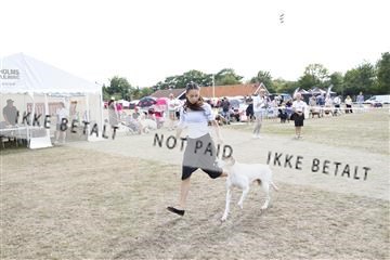 181848_kar_01__62_1153.JPG