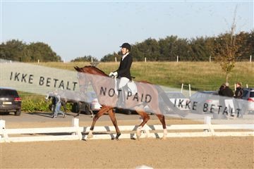 148862_sg_01_IMG_2243.JPG