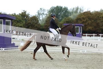 181923_mtp_02_R62_7042.JPG