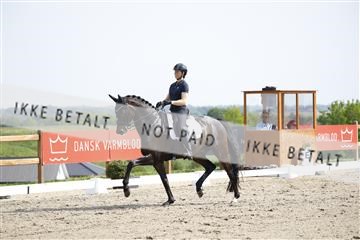 181449_kbb_02_6II1215.JPG