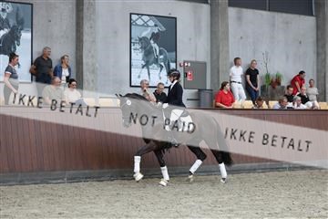 181852_mtp_04_R62_2841.JPG