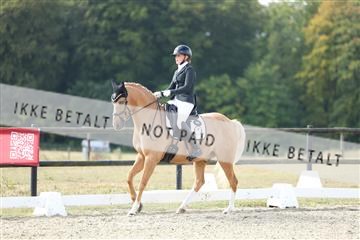181894_mtp_04_R62_3875.JPG