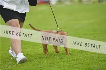 175267_bkn_01__JBR0545.JPG