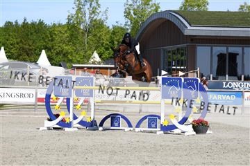 181436_avh_02_3789.JPG