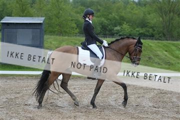 147698_nn_01_IMG_8787.JPG