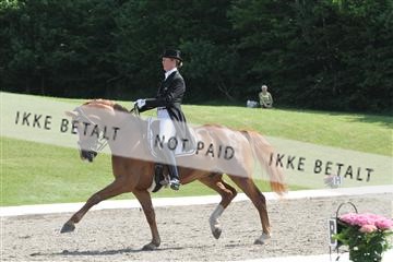 135676_sg_01_IMG_7867.JPG