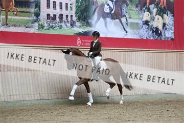 181887_mtp_01_R62_7120.JPG