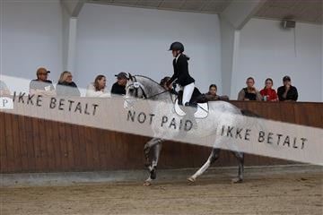 181755_tbj_01R62_2557.JPG