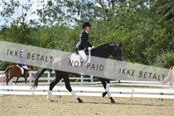 136195_abo_01__AB15951.JPG