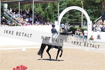 181726_mlm_01_R62_9767.JPG