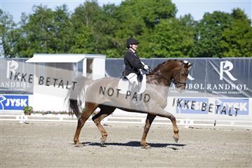 181449_kbb_01_6II9677.JPG