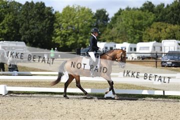181894_mtp_05_R62_4643.JPG