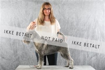 129608_le_ 02_0432.JPG