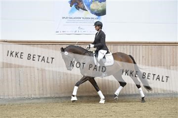 160111_nn_01__ESK1554.JPG