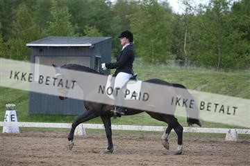 147698_nn_01_IMG_0911.JPG