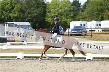 181894_mtp_05_R62_4480.JPG