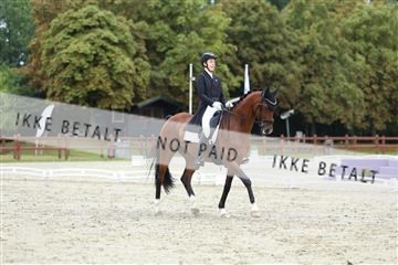181923_mtp_01_R62_6797.JPG