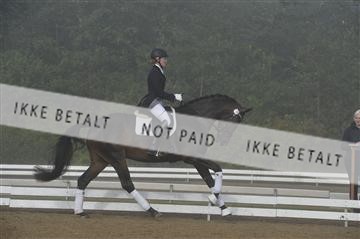 136195_abo_01__AB15374.JPG