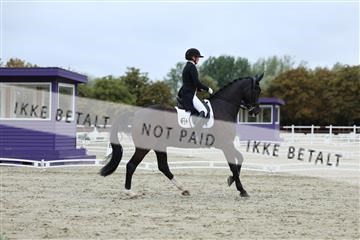 181923_mtp_01_R62_6871.JPG