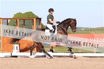 181449_bc_01R62_6460.JPG