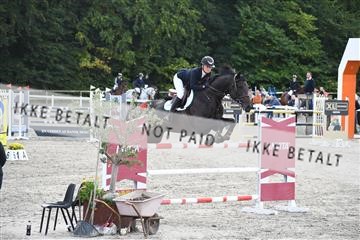 172734_akl_01_AKL_7510.JPG