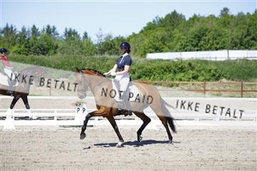 181449_kbb_01_6II9246.JPG