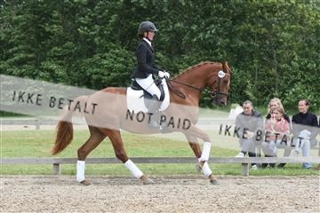135518_ms_01_IMG_1767.JPG