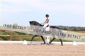 181449_bc_01R62_5877.JPG