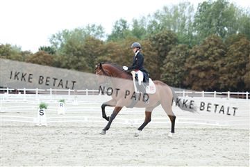181923_mtp_01_R62_6695.JPG