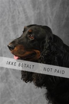 129608_le_ 01_0806.JPG