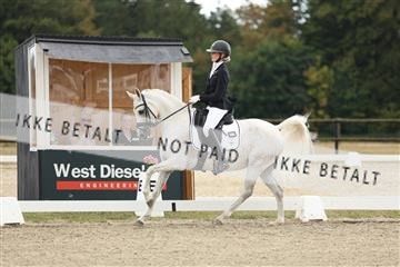 181894_mtp_03_R62_2486.JPG