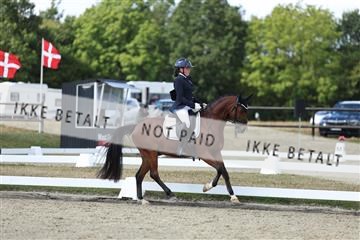 181894_mtp_05_R62_4756.JPG