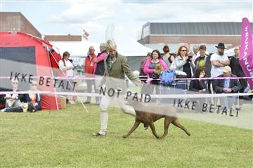 152041_sk_01__SK17698.JPG