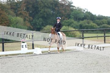 181894_mtp_05_R62_4288.JPG