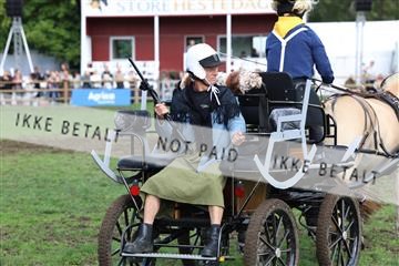 181962_mlm_01_R62_9757.JPG