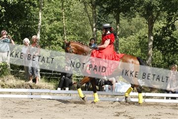 5925_gn_02__MG_7963.JPG