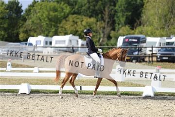 181894_mtp_05_R62_5005.JPG