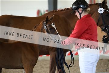 181756_mtp_03_R62_2505.JPG